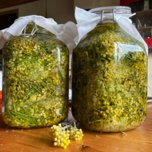 AROMAT' - Herbes de provence