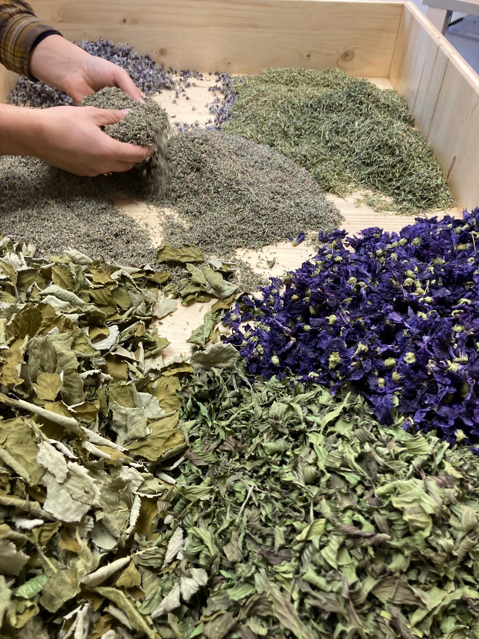 Fabrication d'infusion