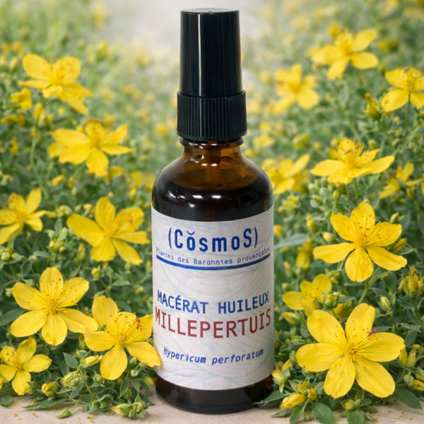 Macérat huileux de Millepertuis