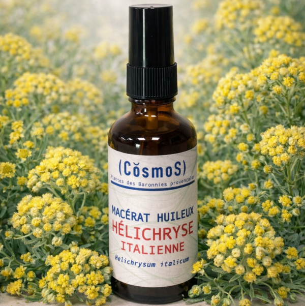 Macérat huileux d'Hélichryse italienne
